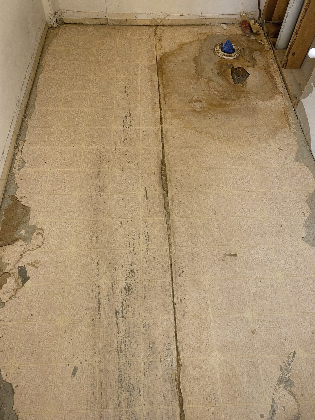 A failing bathroom floor — worn sheet vinyl with a lifted seam, water staining around the flange and torn edges